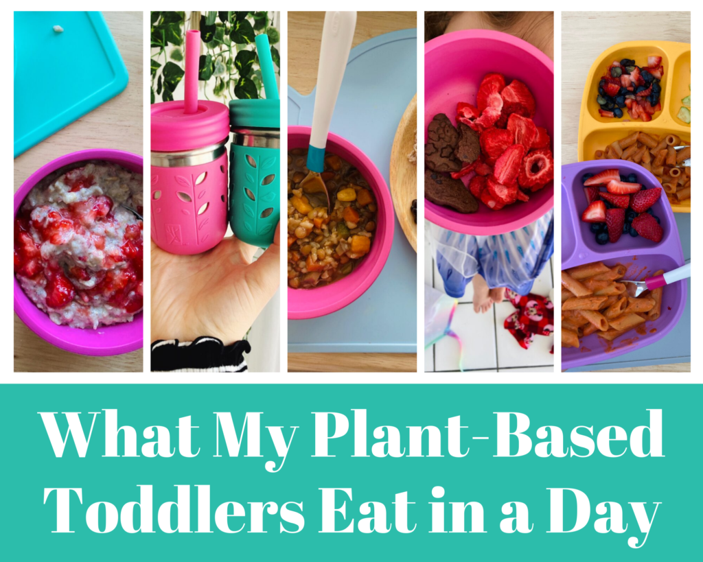 What My Plant-Based Toddlers Eat in a Day