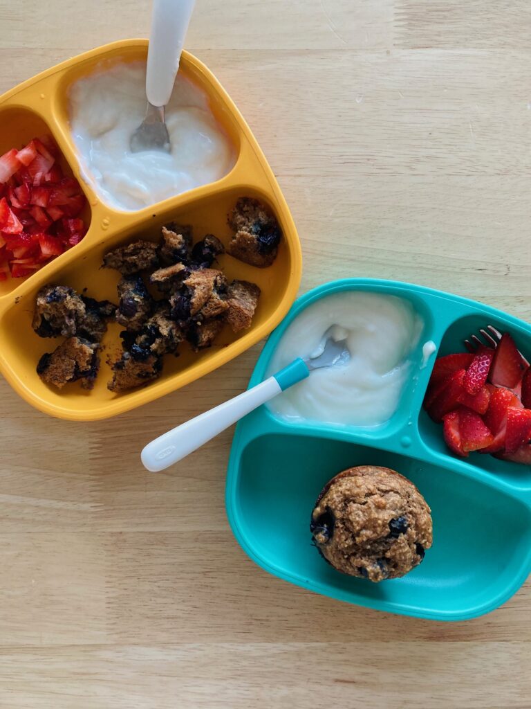 What My Plant-Based Toddlers Eat