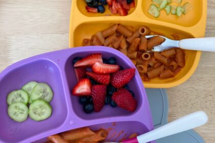 What My Plant-Based Toddlers Eat in a Day