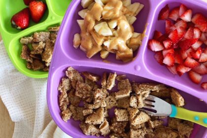 What My Plant-Based Toddlers Eat