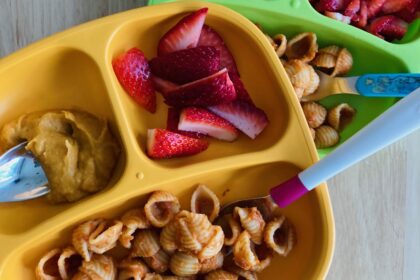 What My Plant-Based Toddlers Eat