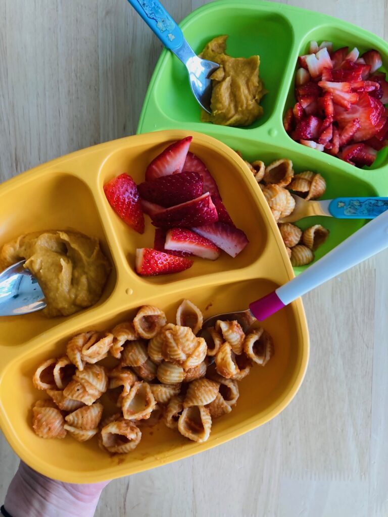 What My Plant-Based Toddlers Eat