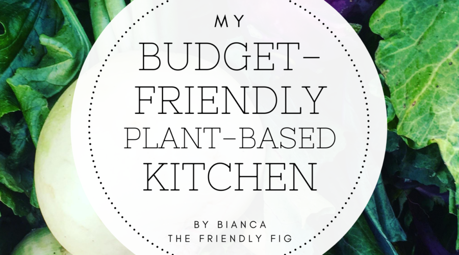 My Budget Friendly Kitchen eBook