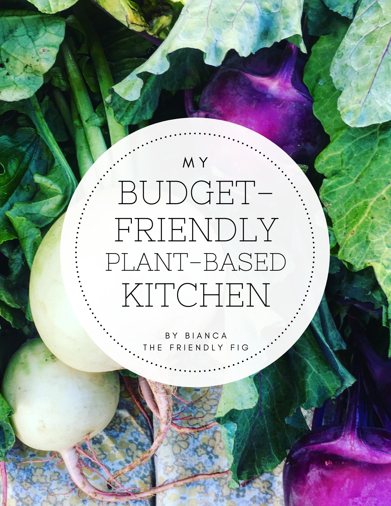 My Budget Friendly Kitchen eBook