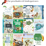 Homeschool Book Haul: Backyard Birds Theme