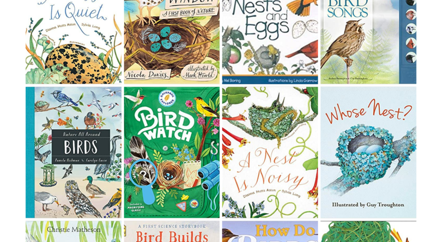 Homeschool Book Haul: Backyard Birds Theme