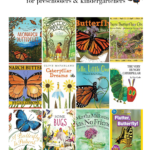 Homeschool Book Haul: Caterpillar/Butterfly Theme