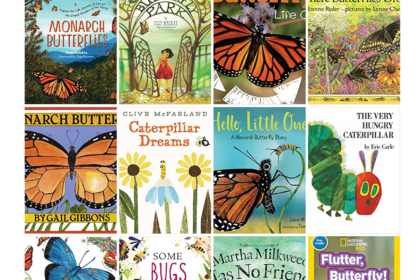 Homeschool Book Haul: Caterpillar/Butterfly Theme