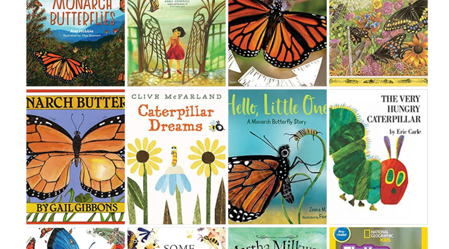 Homeschool Book Haul: Caterpillar/Butterfly Theme