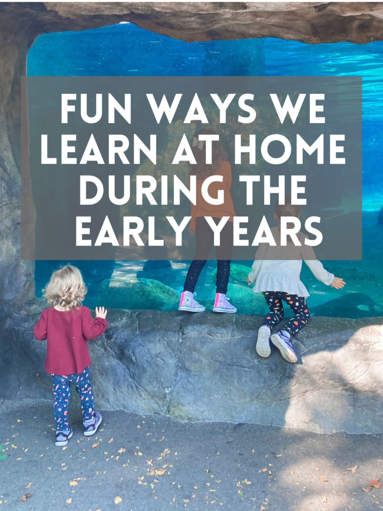 How We Homeschool: Fun Ways We Learn During the Early Years - The ...