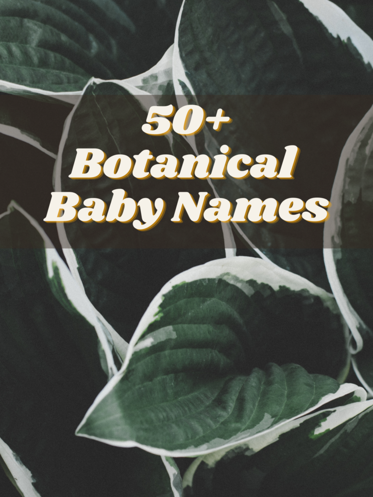 100-botanical-baby-names-the-friendly-fig