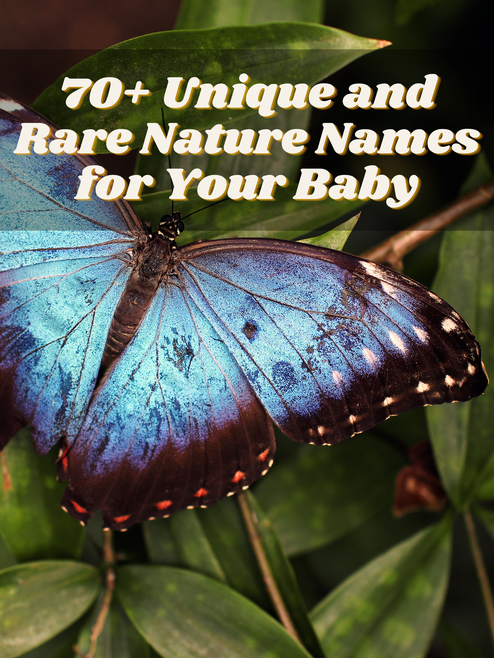 70+ Unique and Rare Nature Names for Your Baby