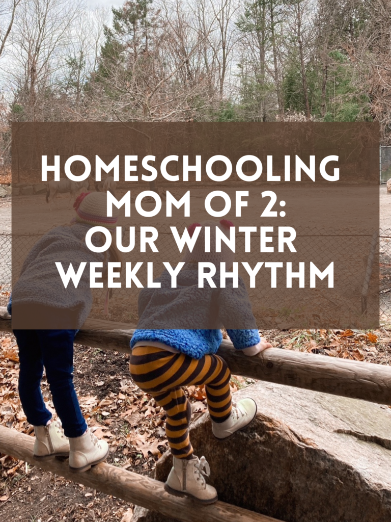 Our Winter Homeschool Weekly Rhythm