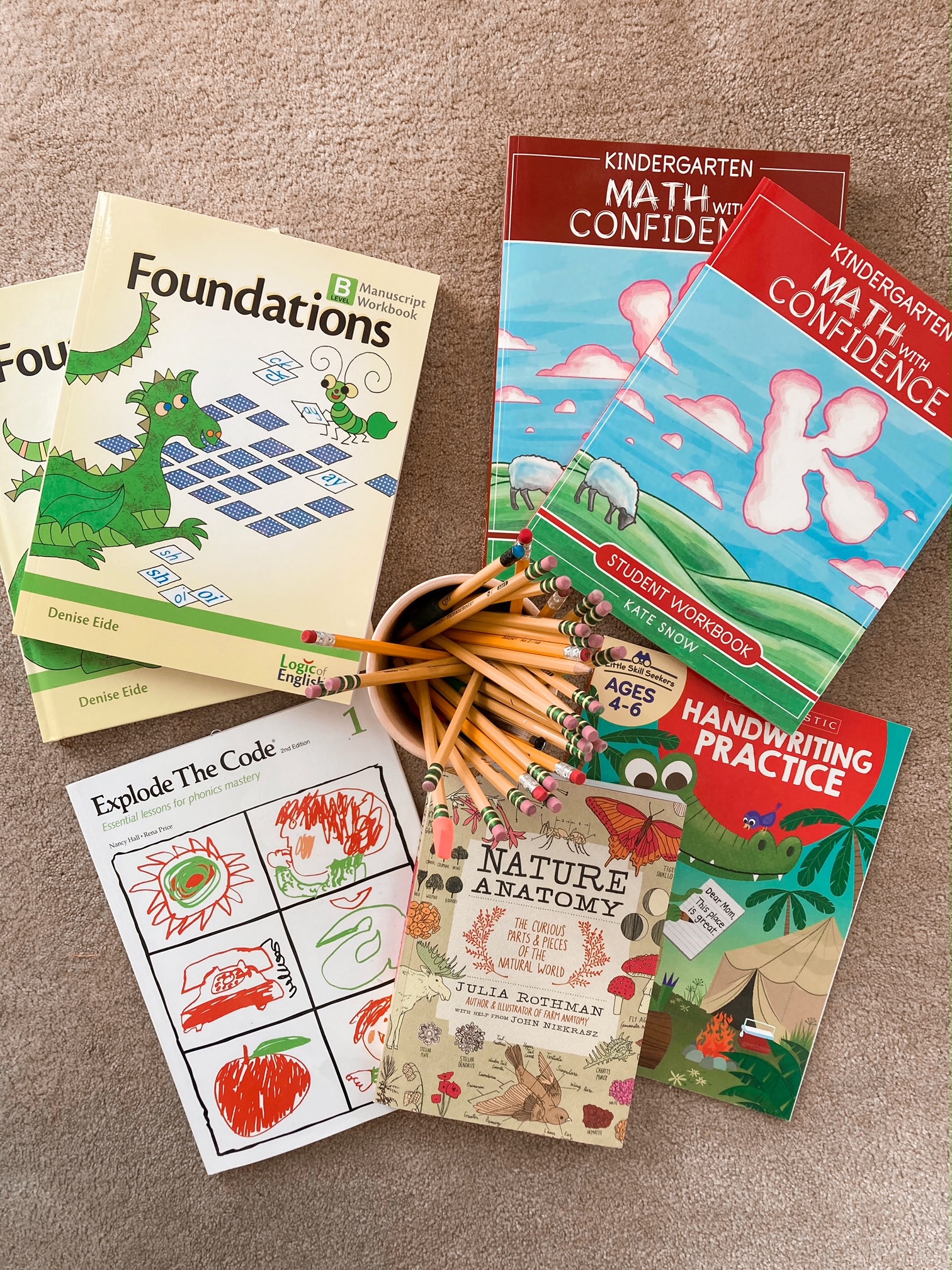How and Why We Use Tote Boxes for Homeschool Organization - The Friendly Fig