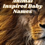 Animal-Inspired Baby Names for Your Wild Thing