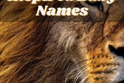 Animal-Inspired Baby Names for Your Wild Thing