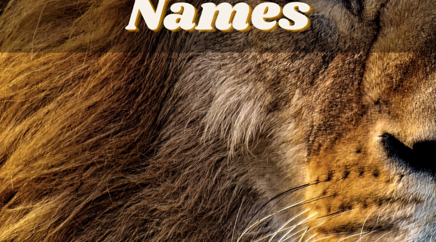 Animal-Inspired Baby Names for Your Wild Thing