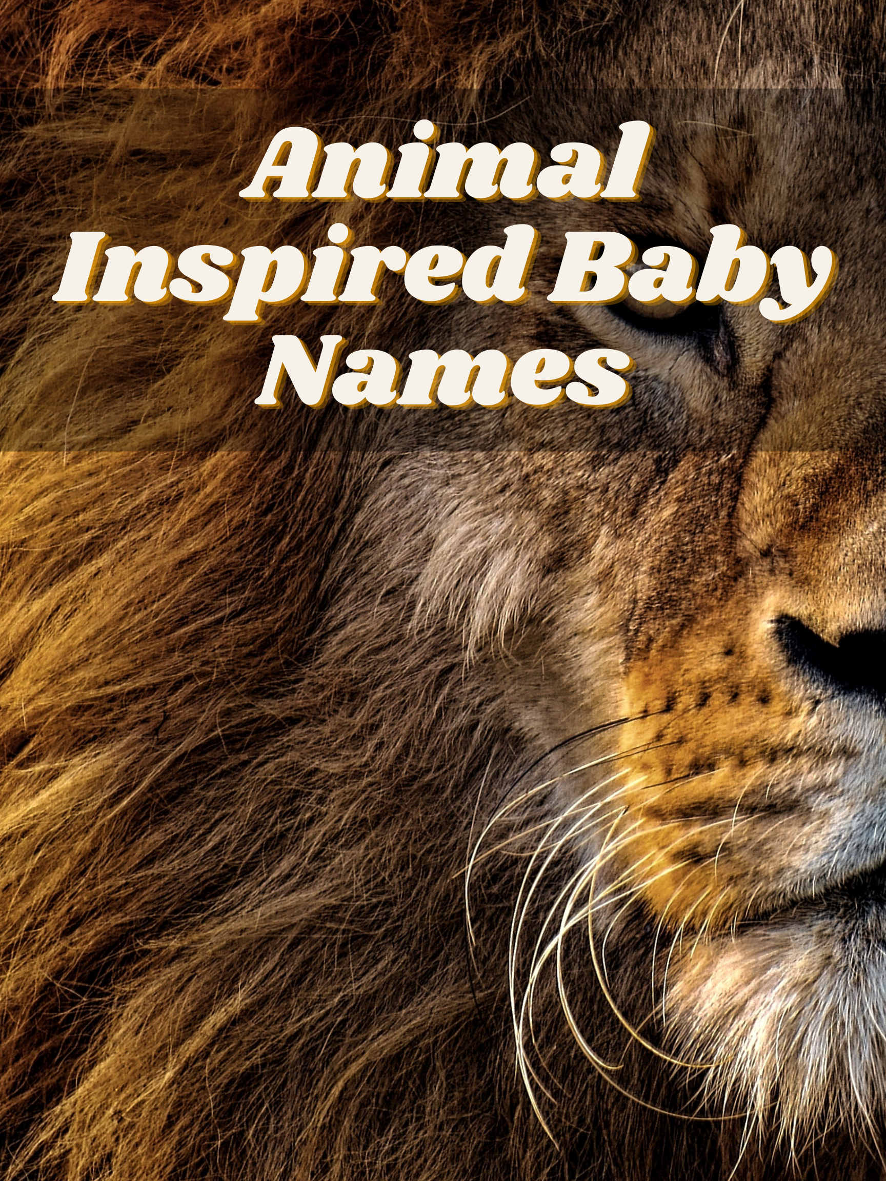 Animal-Inspired Baby Names for Your Wild Thing