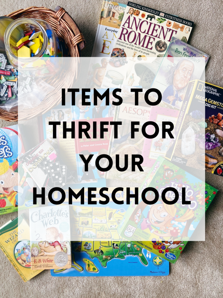 Items to Thrift for Your Homeschool