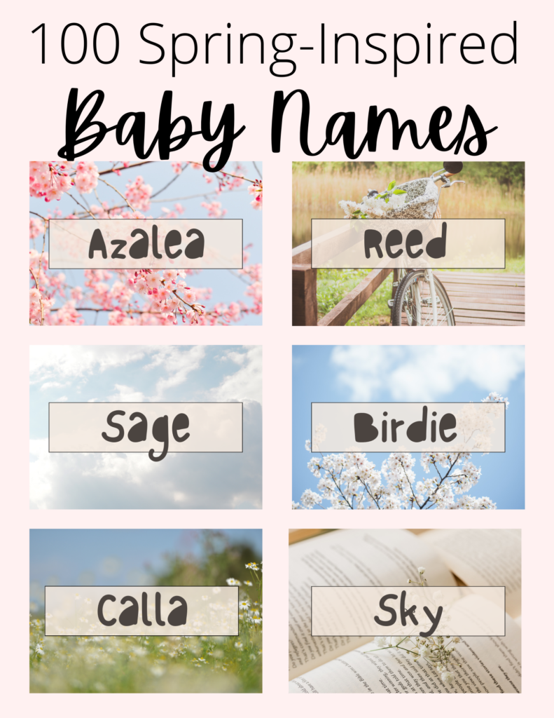 Spring Inspired Baby Names