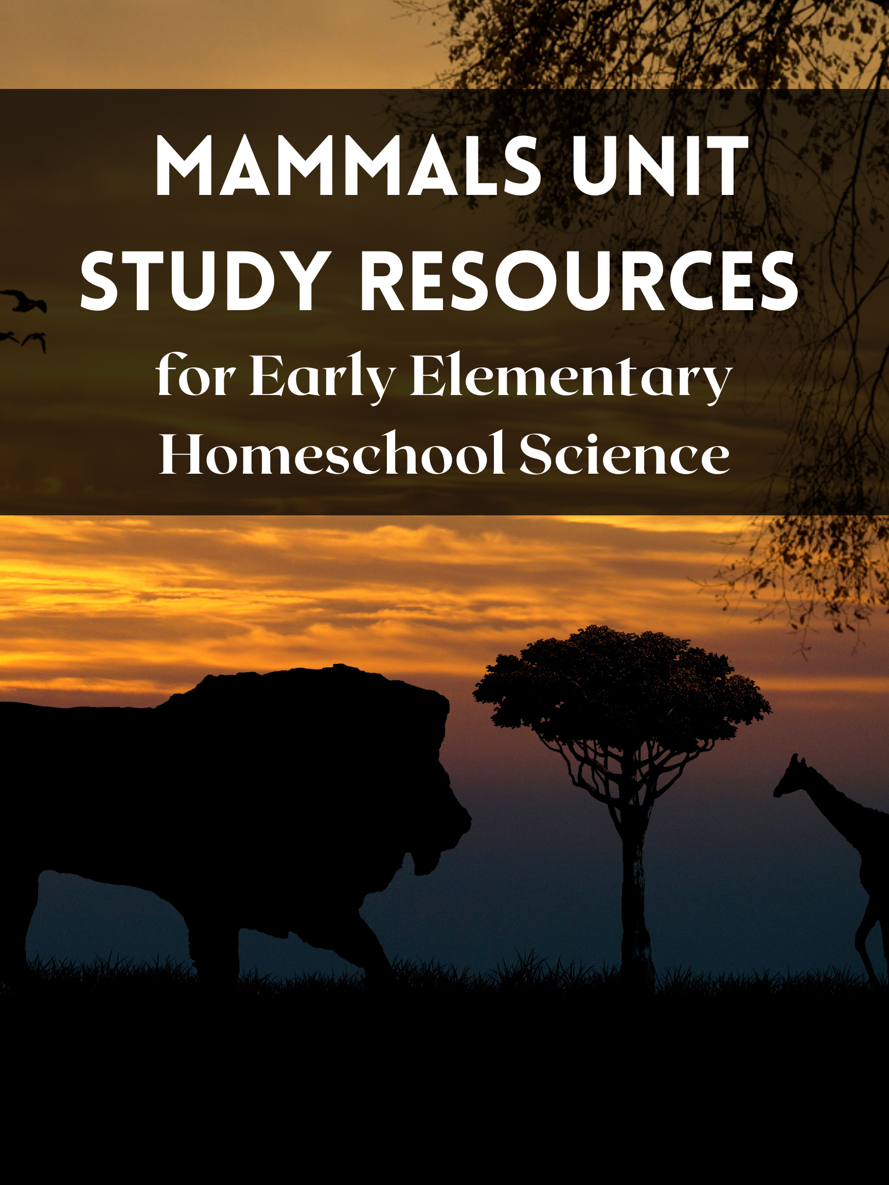 Mammals Unit Study Homeschool