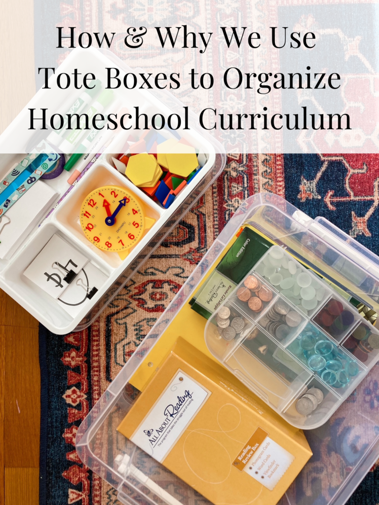 How and Why We Use Tote Boxes for Homeschool Organization