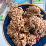 3-Ingredient Breakfast Cookies (Vegan)