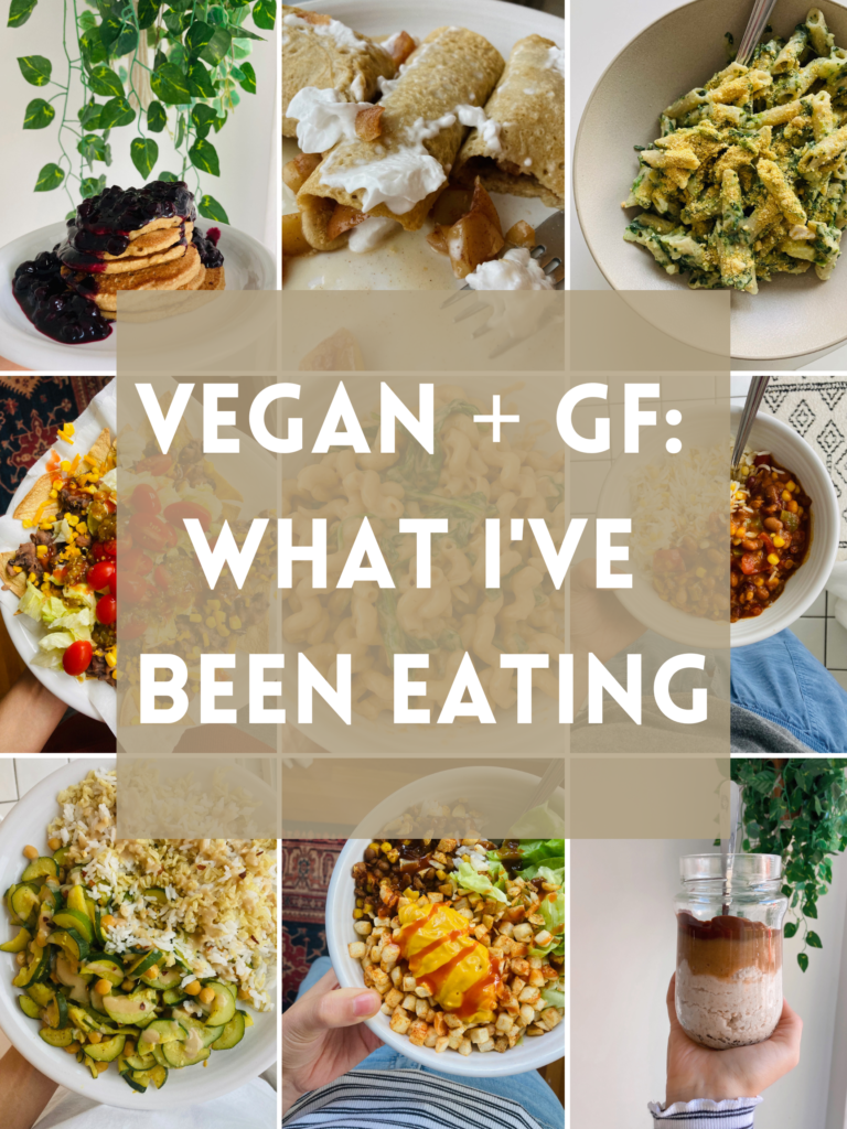 Vegan and Gluten Free Meals