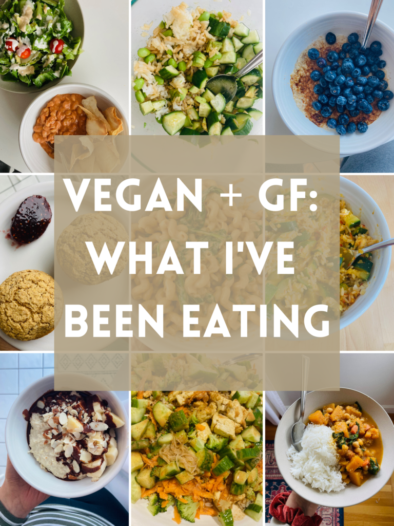 Vegan and Gluten Free Meals