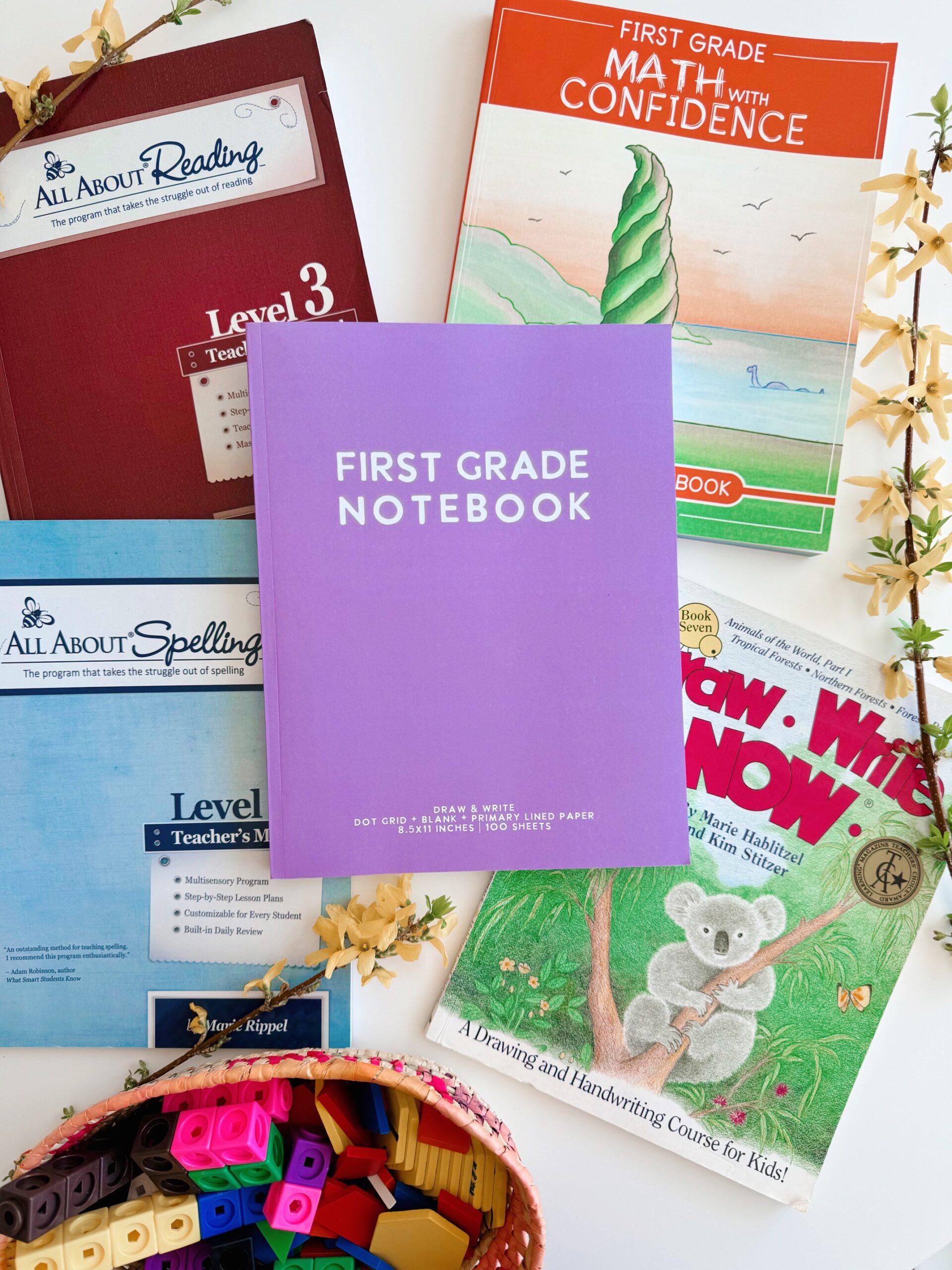 Homeschool Curriculum Choices for 1st and Pre-K