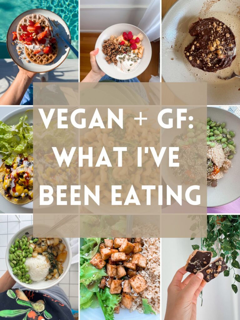 Vegan and Gluten Free Meals