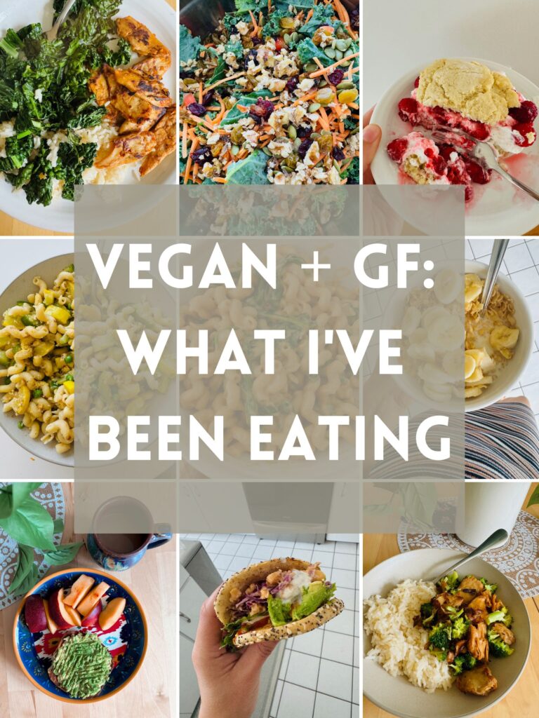 Vegan and Gluten Free Meals