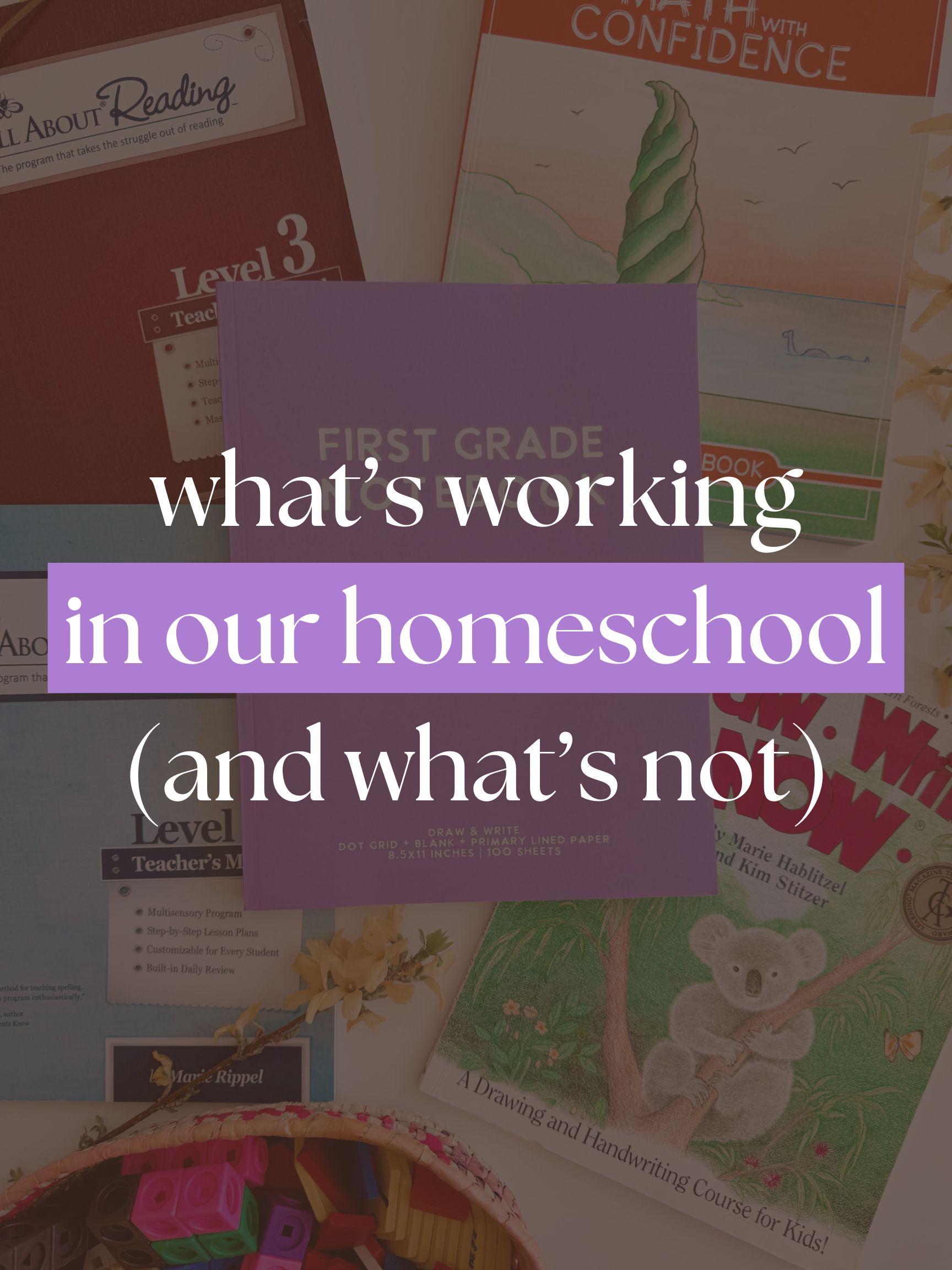 What's Working in Our Homeschool (& What's Not)