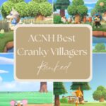 ACNH Best Cranky Villagers Ranked