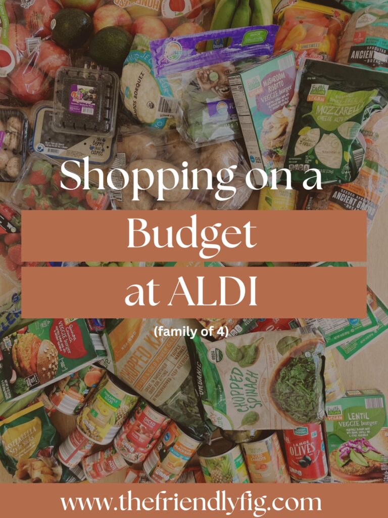Shopping on a Budget at ALDI