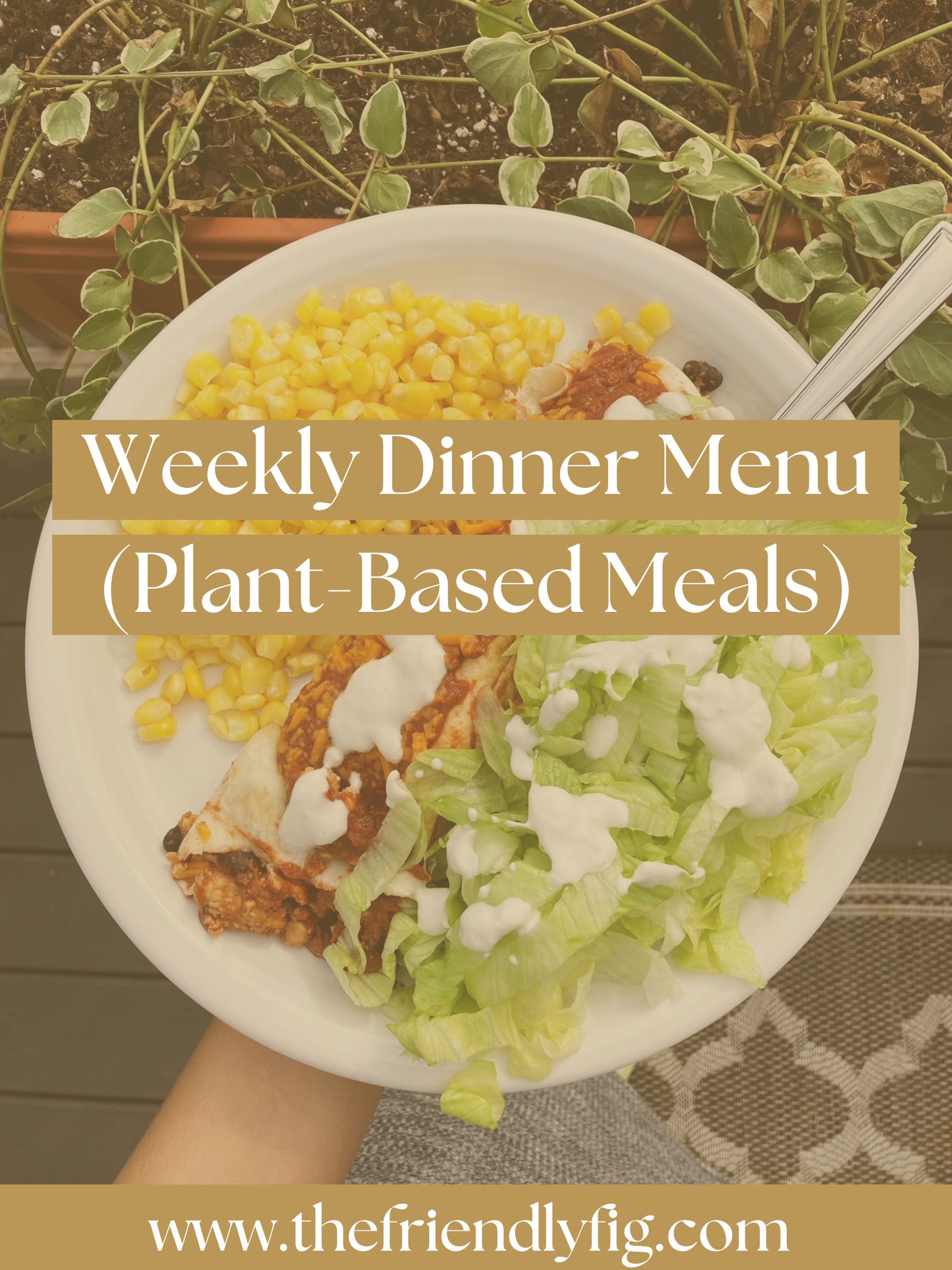 Weekly Meal Plan