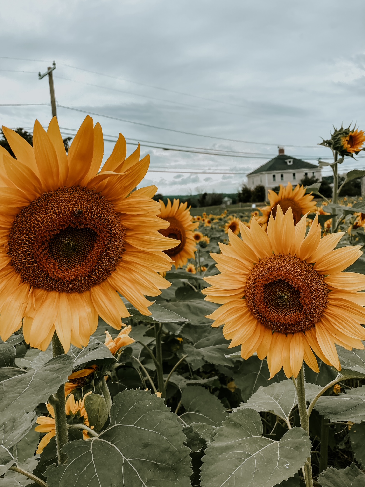 Ideas to Squeeze Out the Last Bits of Summer In August