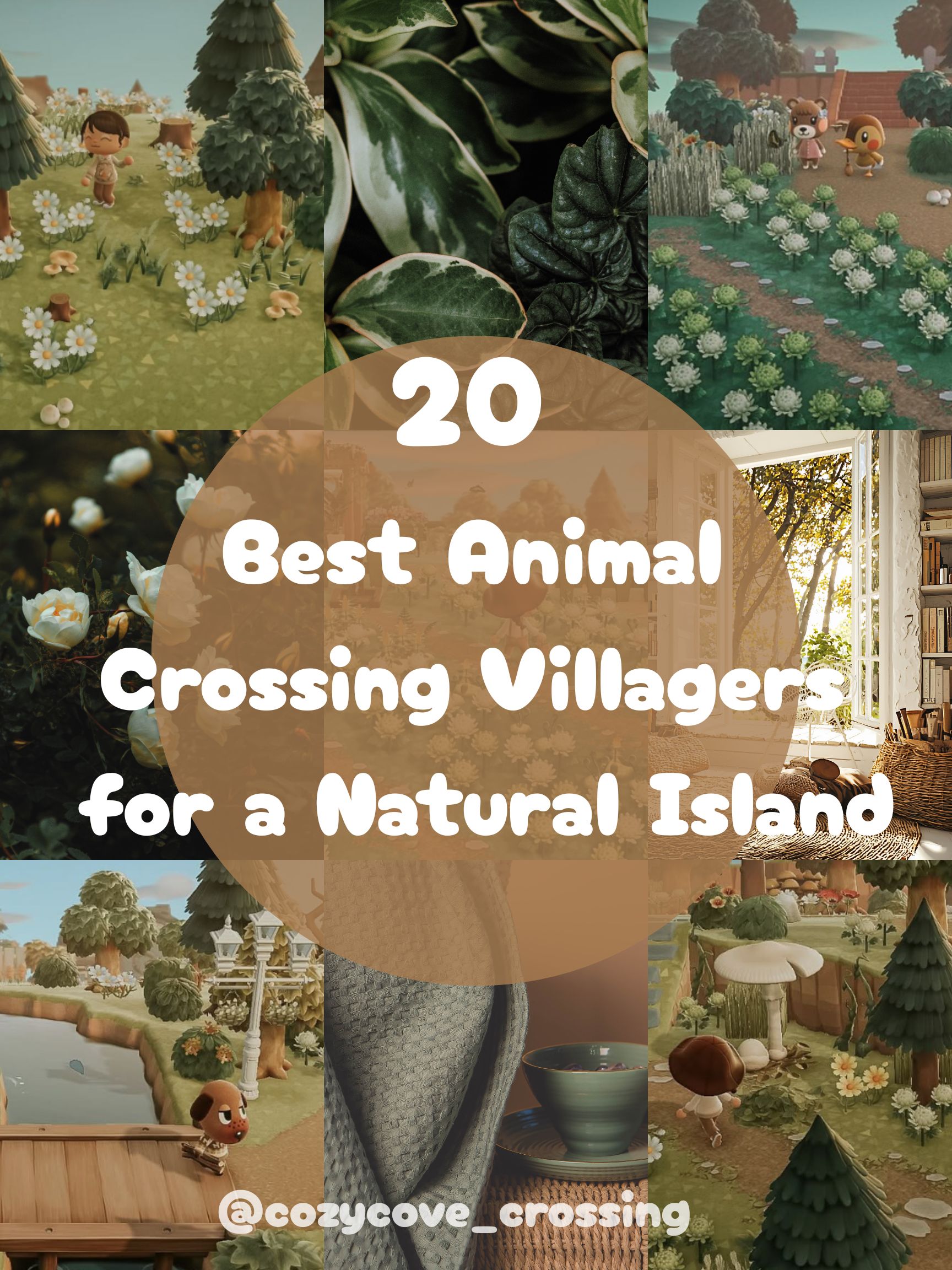 20 Best Natural Animal Crossing Villagers