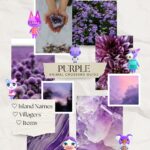 Purple Animal Crossing Island Ideas (Names, Villagers, Items)