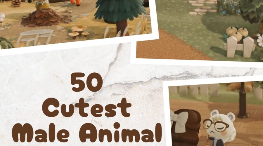 50 Cutest Male Animal Crossing Villagers (Soft Boys & Fan-Favorites)