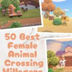 50 Best Female Animal Crossing Villagers (Cute, Popular & Aesthetic)