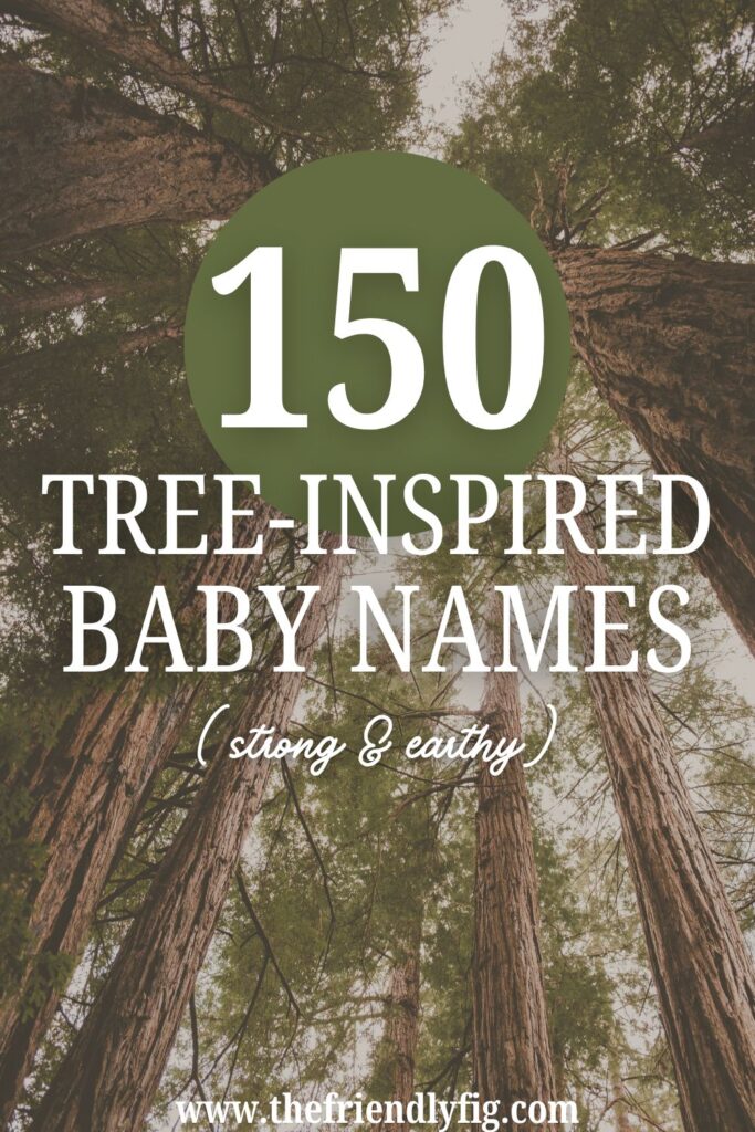 150 tree inspired baby names