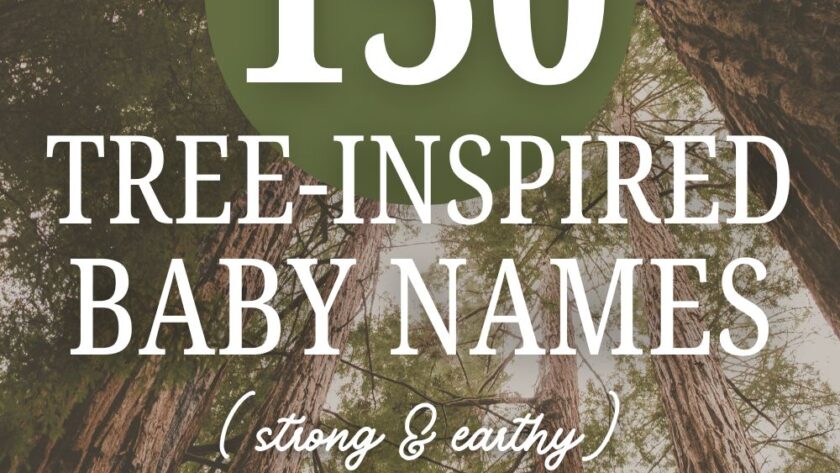 150 tree inspired baby names