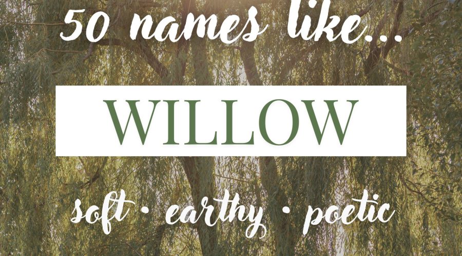 Names Like Willow (Earthy, Soft & Poetic Picks)