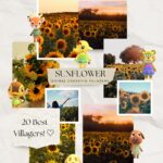 20 Best Animal Crossing Villagers for a Sunflower Island