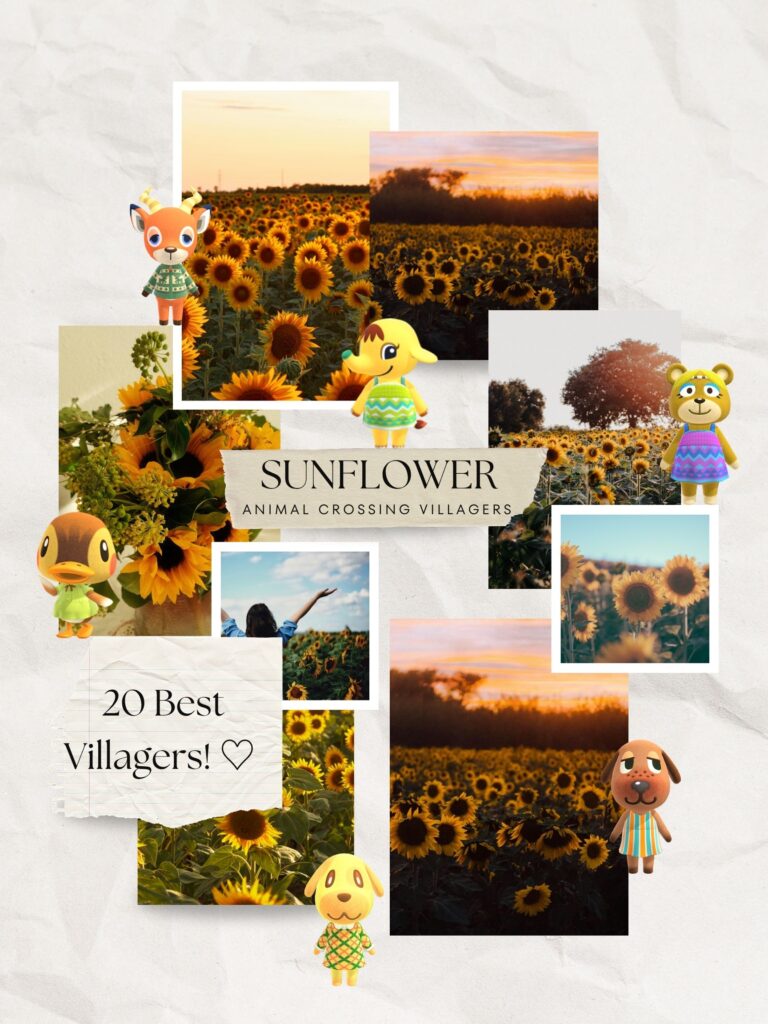 20 Best Animal Crossing Villagers for a Sunflower Island