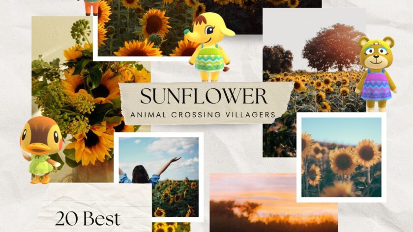 20 Best Animal Crossing Villagers for a Sunflower Island