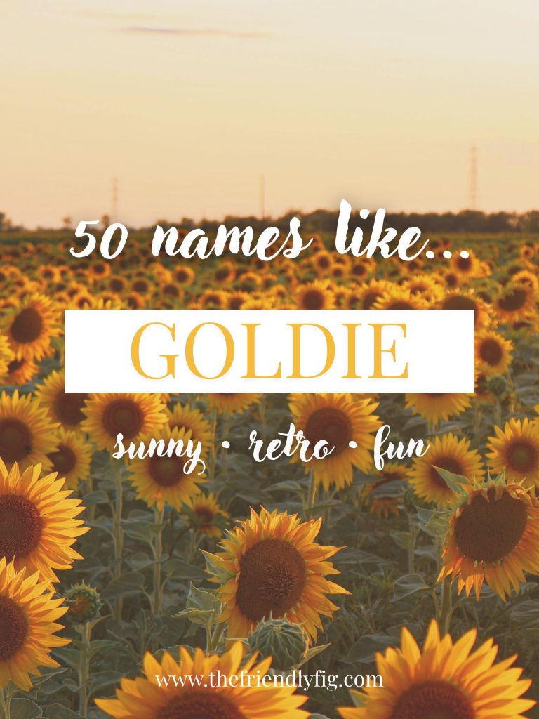 Names Like Goldie (Sunny, Retro & Fun)