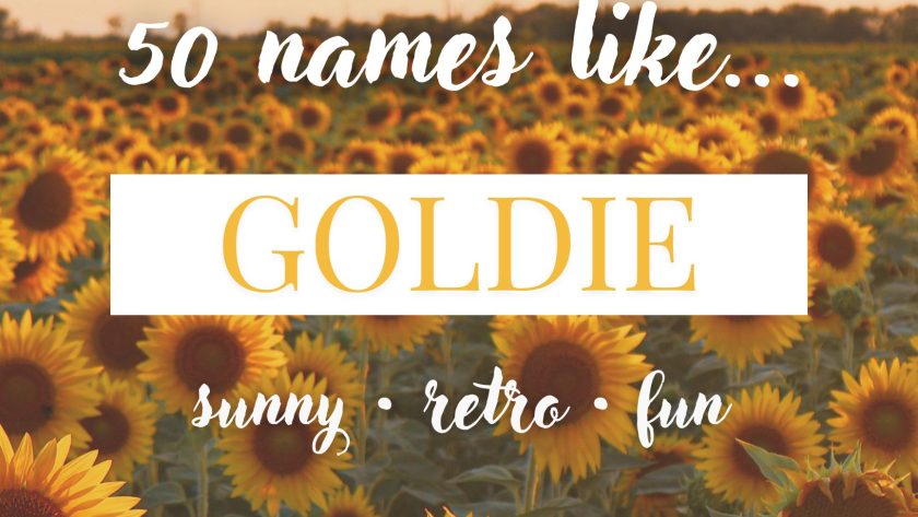 Names Like Goldie (Sunny, Retro & Fun)