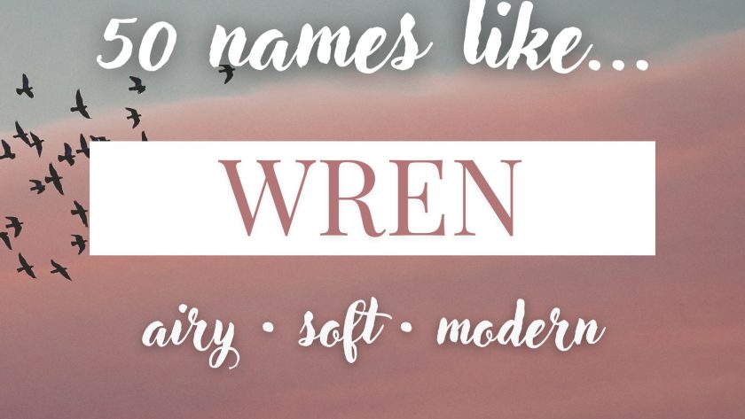 Names Like Wren (Airy, Soft & Modern)